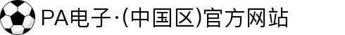 PA电子·(中国区)官方网站